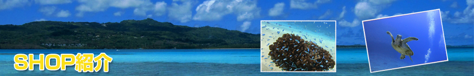 ショップ紹介